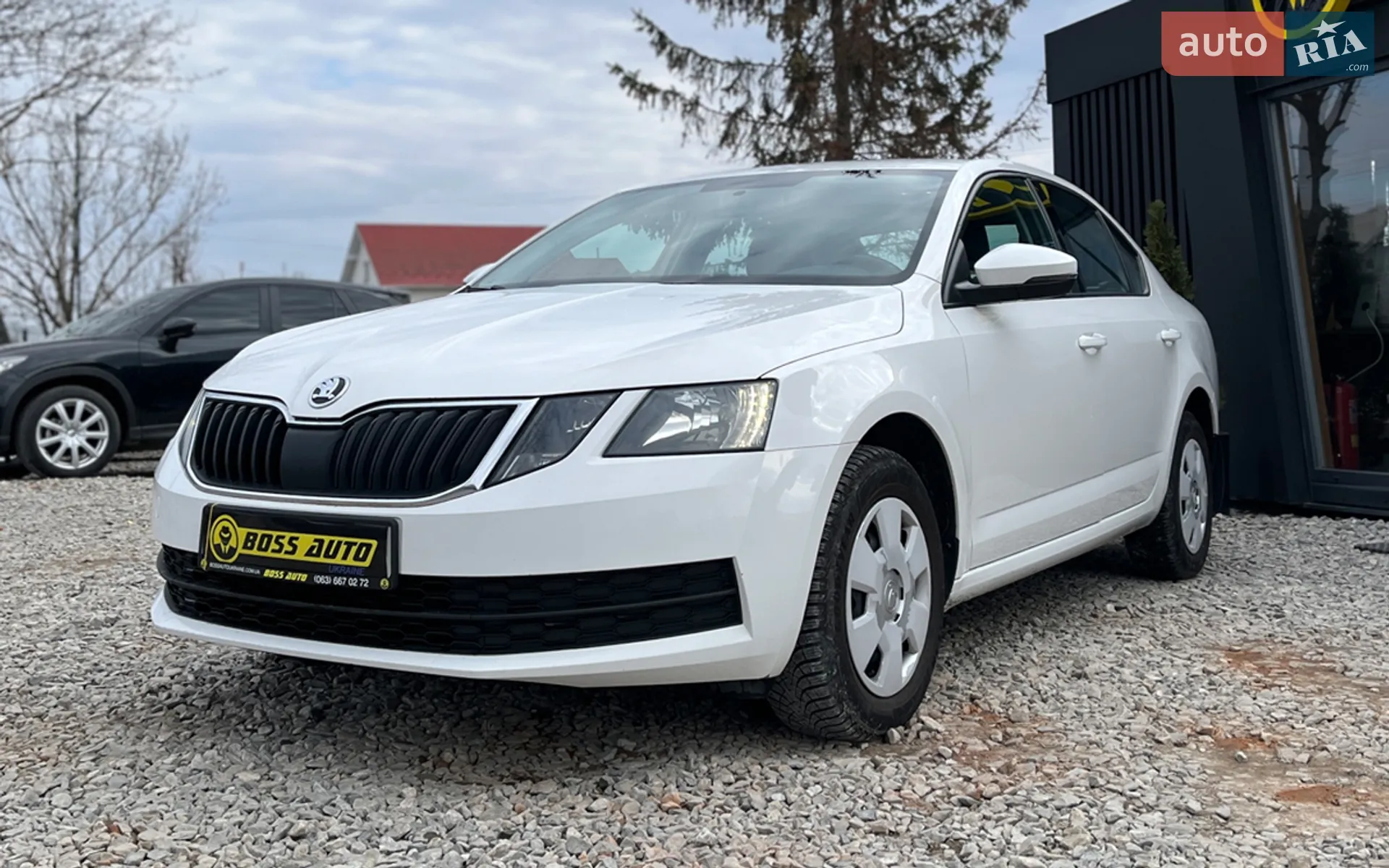 2019 Skoda Octavia - мініатюра 4
