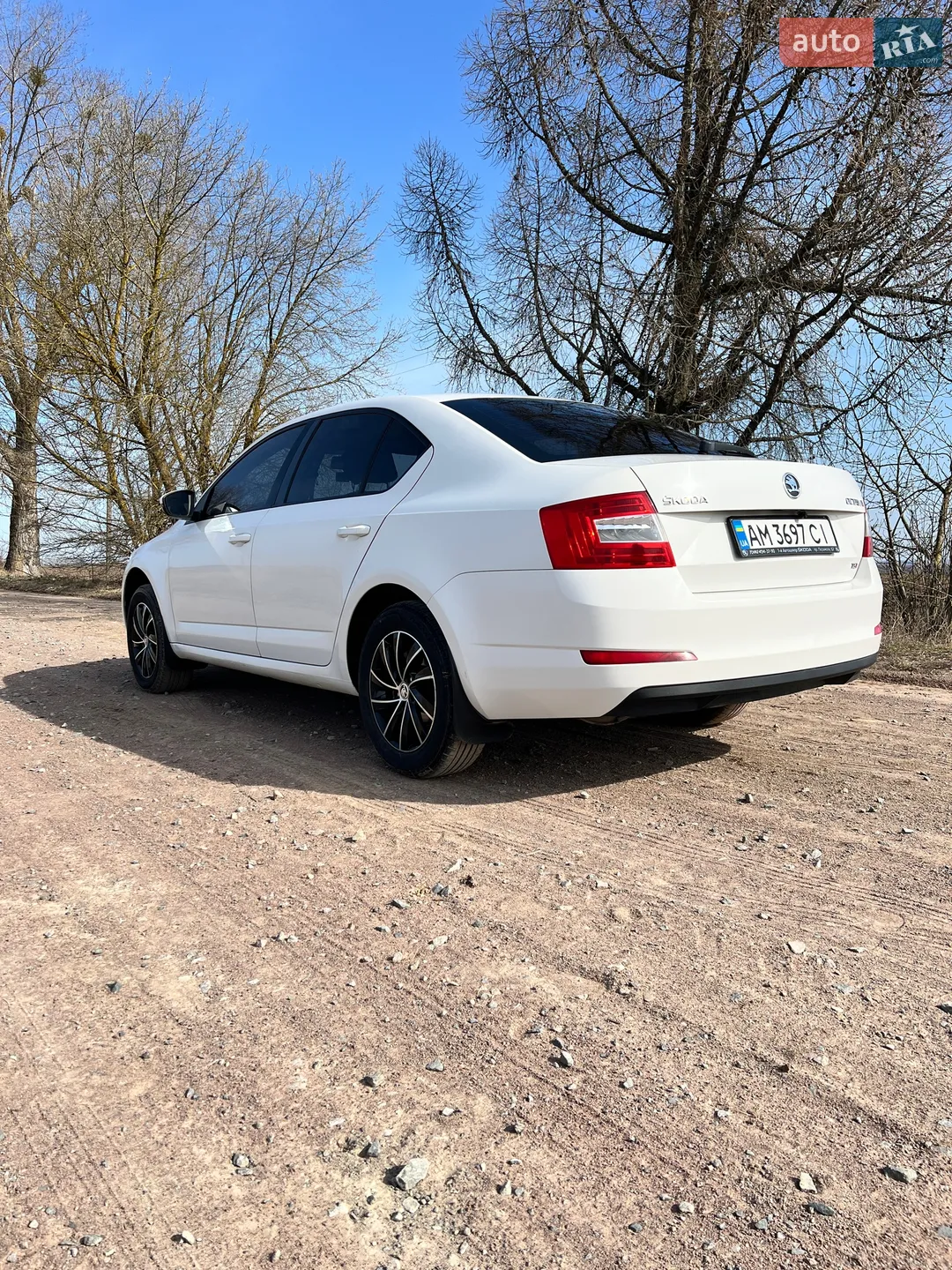 2013 Skoda Octavia - мініатюра 3