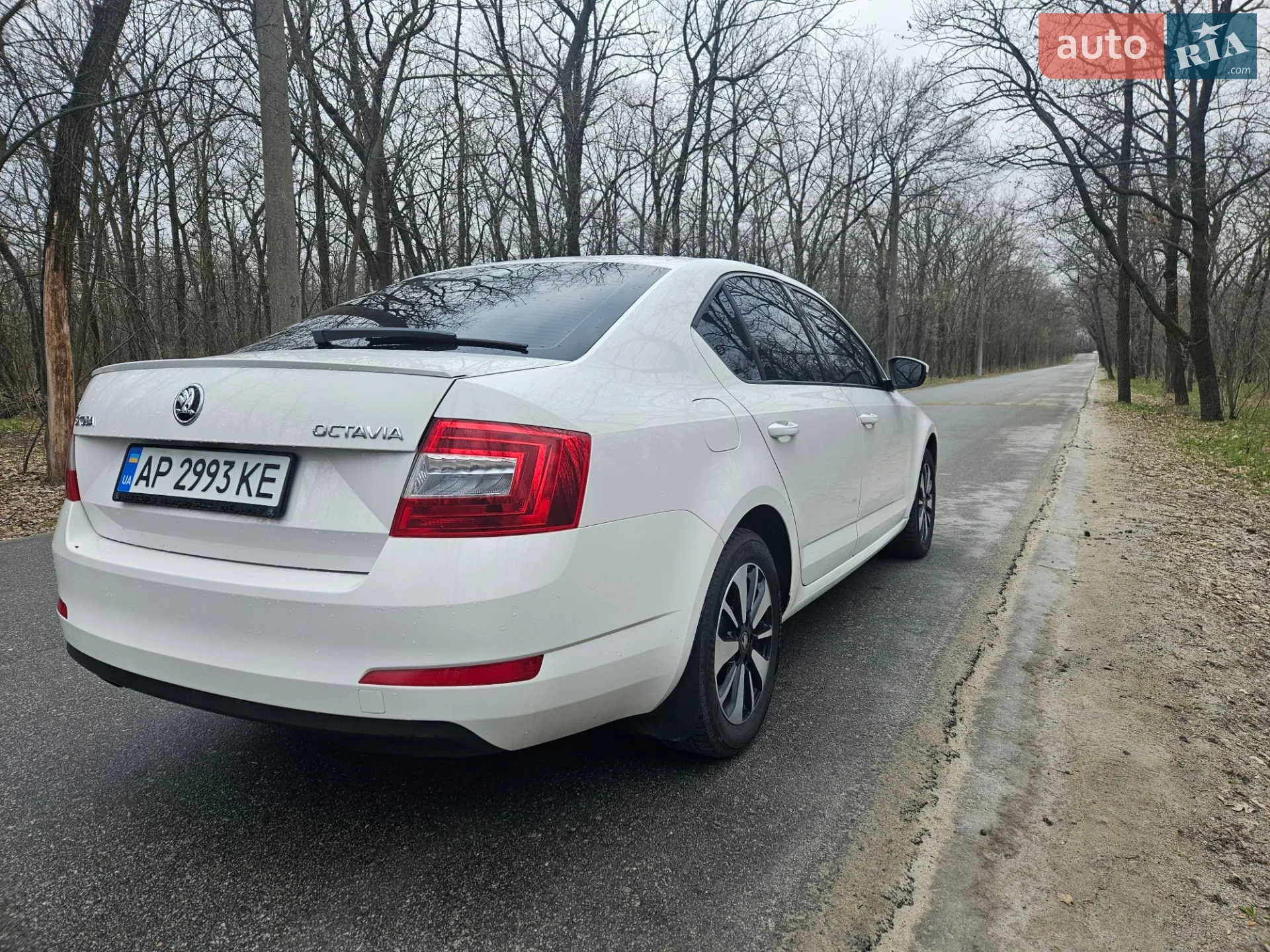 2016 Skoda Octavia - мініатюра 2