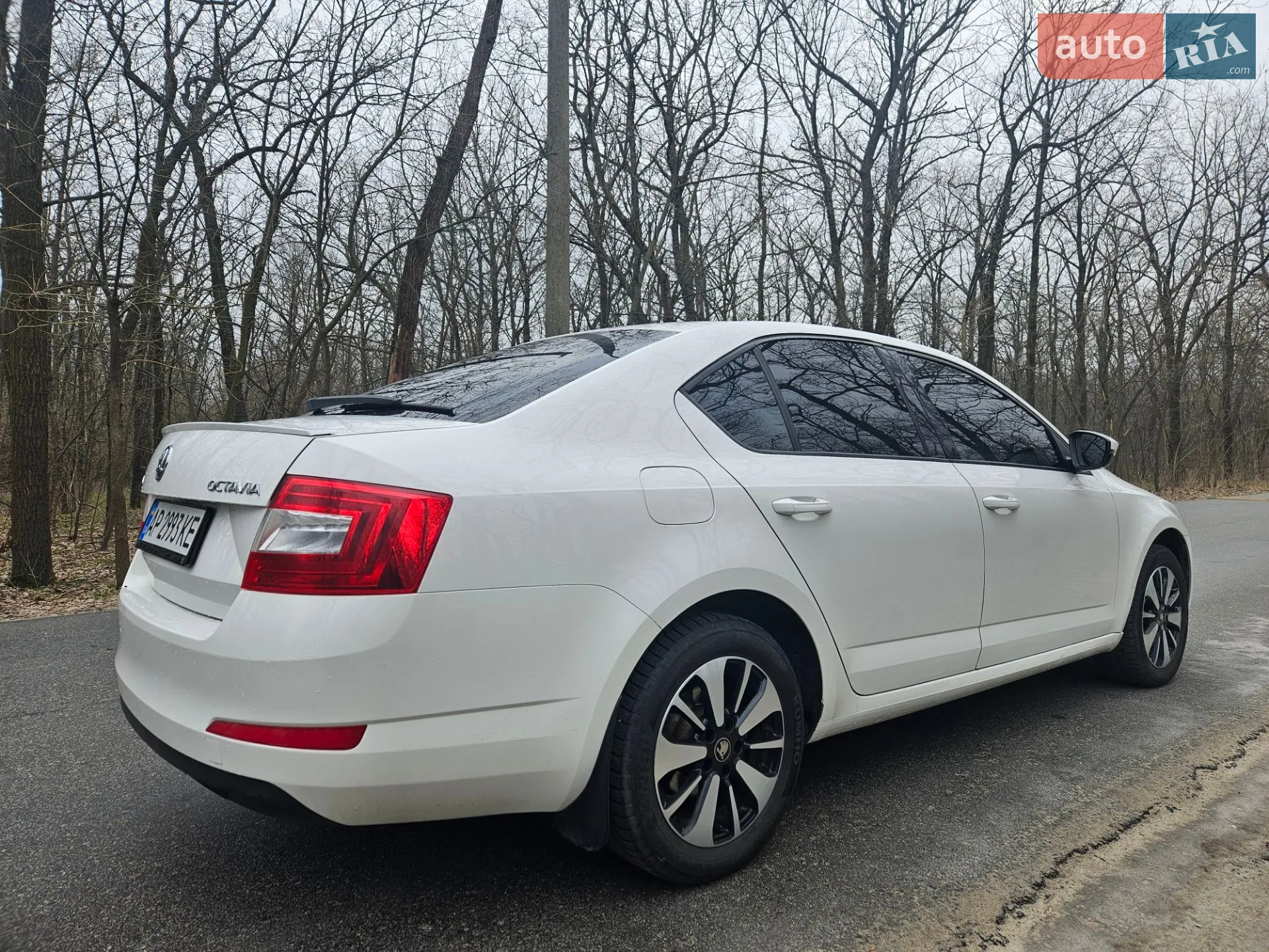 2016 Skoda Octavia - мініатюра 12