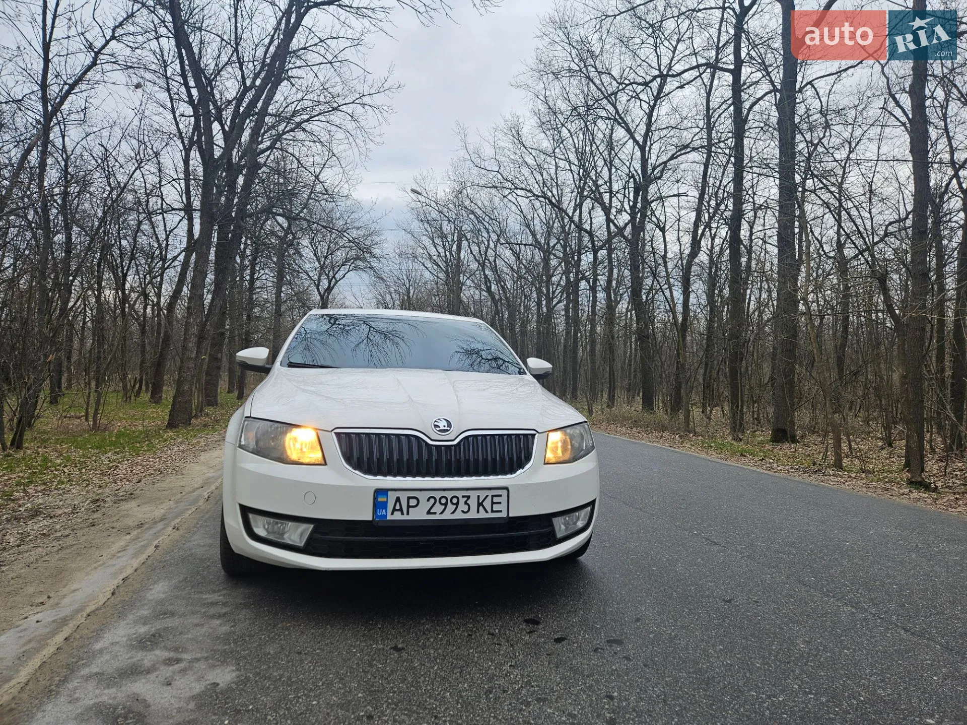 2016 Skoda Octavia - мініатюра 17