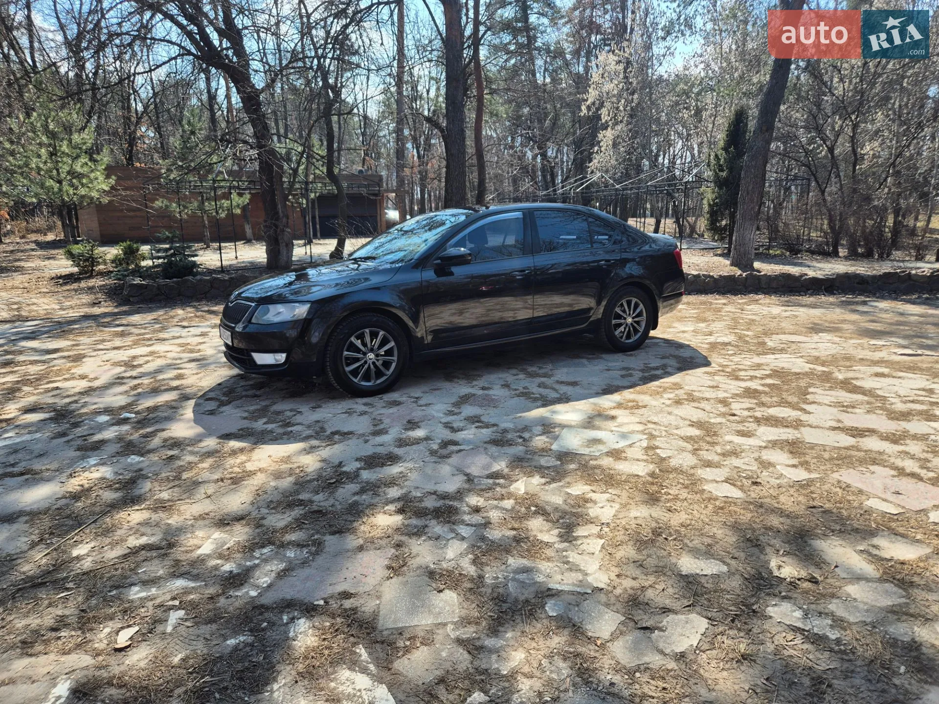 2013 Skoda Octavia - мініатюра 5