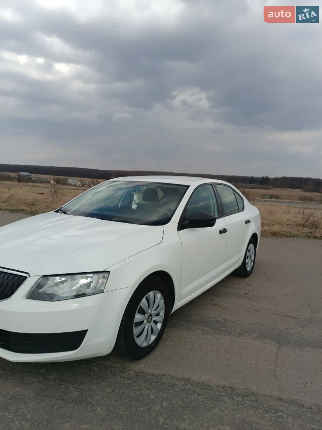 2015 Skoda Octavia - мініатюра 6