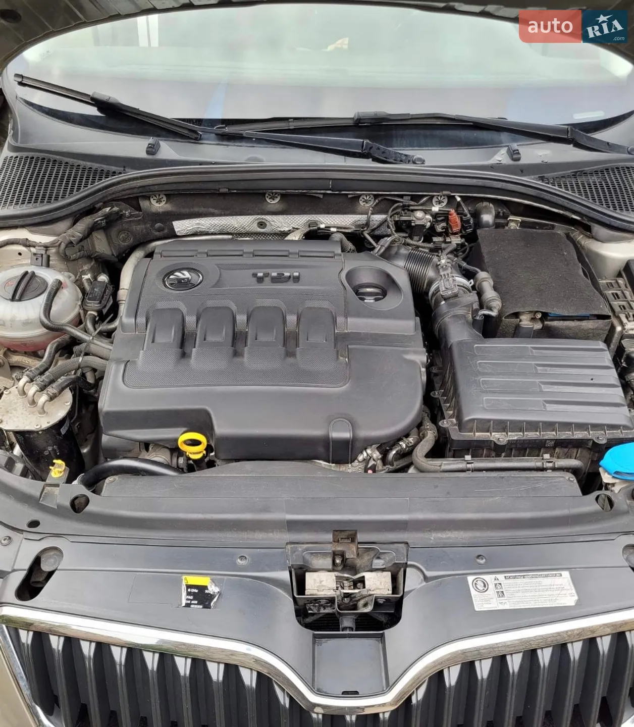 2015 Skoda Octavia - мініатюра 7