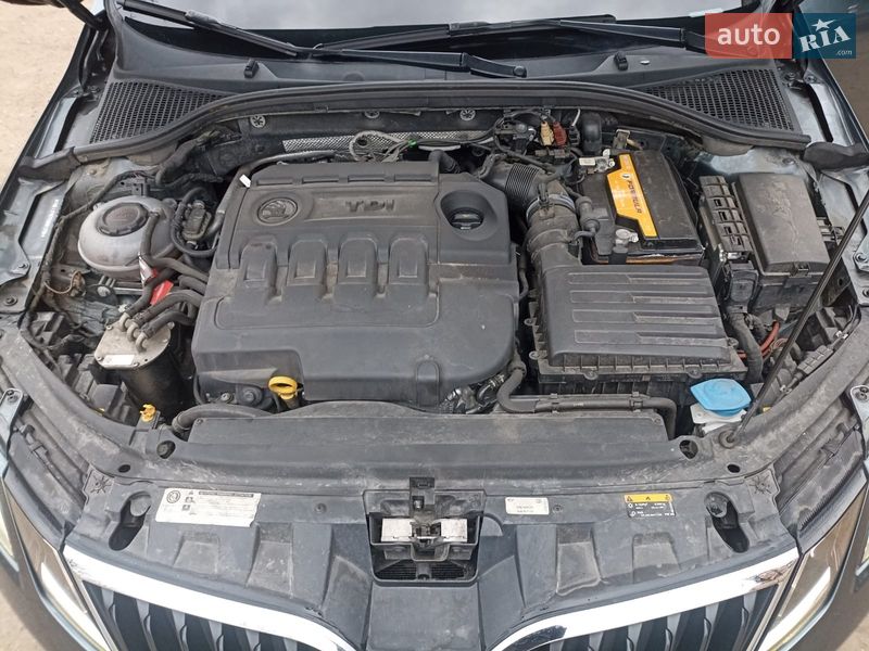 Универсал Skoda Octavia 2019 в Бердичеве фото 37 Универсал Skoda Octavia 2019 в Бердичеве