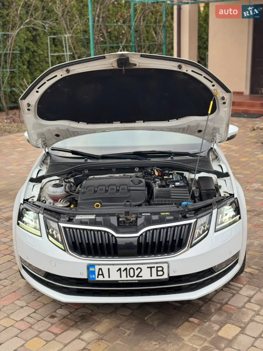 2019 Skoda Octavia - мініатюра 22