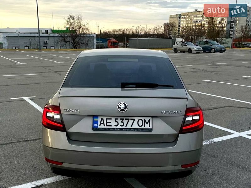 Лифтбек Skoda Octavia 2017 в Запорожье фото 4 Лифтбек Skoda Octavia 2017 в Запорожье