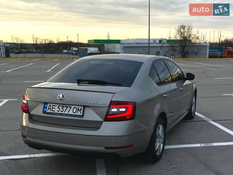 Лифтбек Skoda Octavia 2017 в Запорожье фото 14 Лифтбек Skoda Octavia 2017 в Запорожье