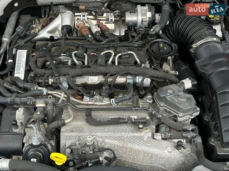 Лифтбек Skoda Octavia 2021 в Львове фото 104 Лифтбек Skoda Octavia 2021 в Львове