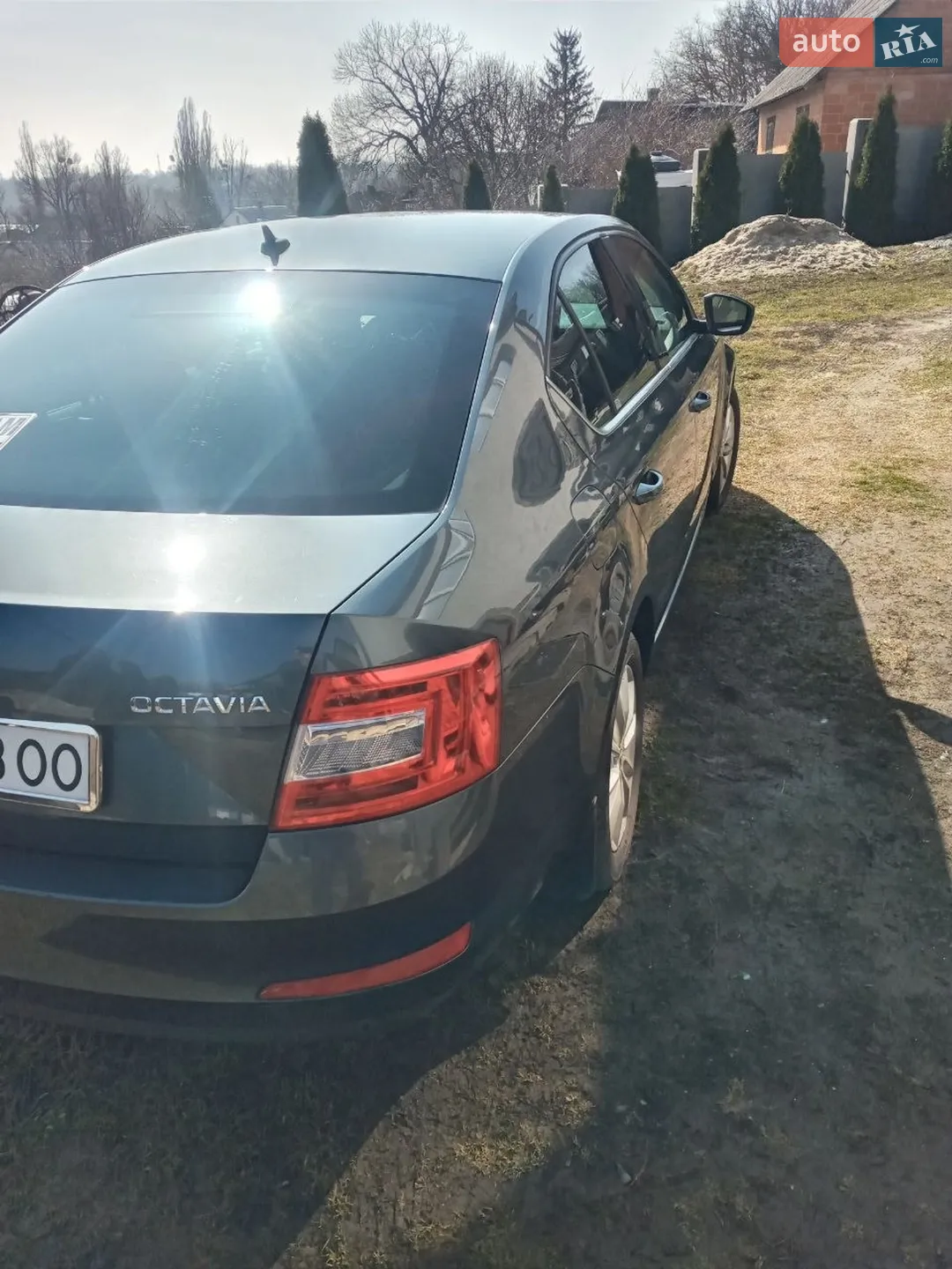 2017 Skoda Octavia - мініатюра 3