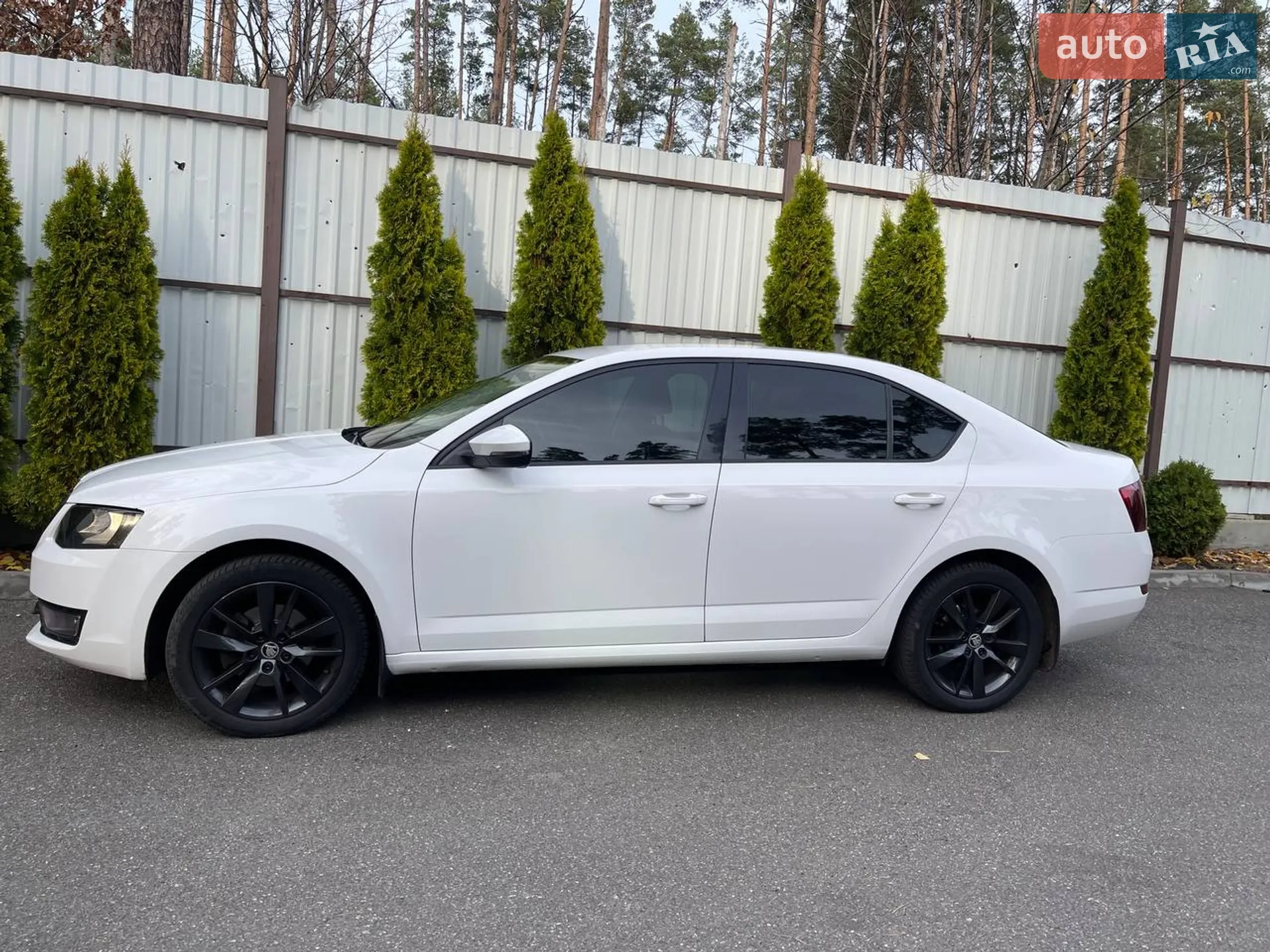 2016 Skoda Octavia - мініатюра 3