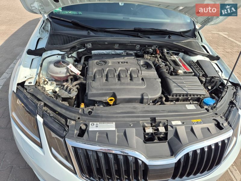 Универсал Skoda Octavia 2018 в Житомире фото 34 Универсал Skoda Octavia 2018 в Житомире