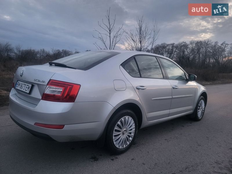 Лифтбек Skoda Octavia 2013 в Шостке