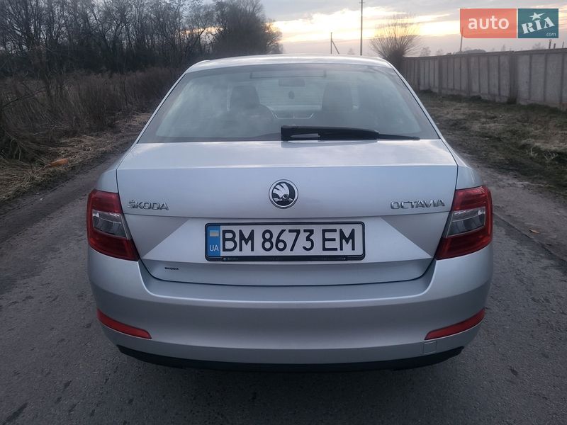 Лифтбек Skoda Octavia 2013 в Шостке
