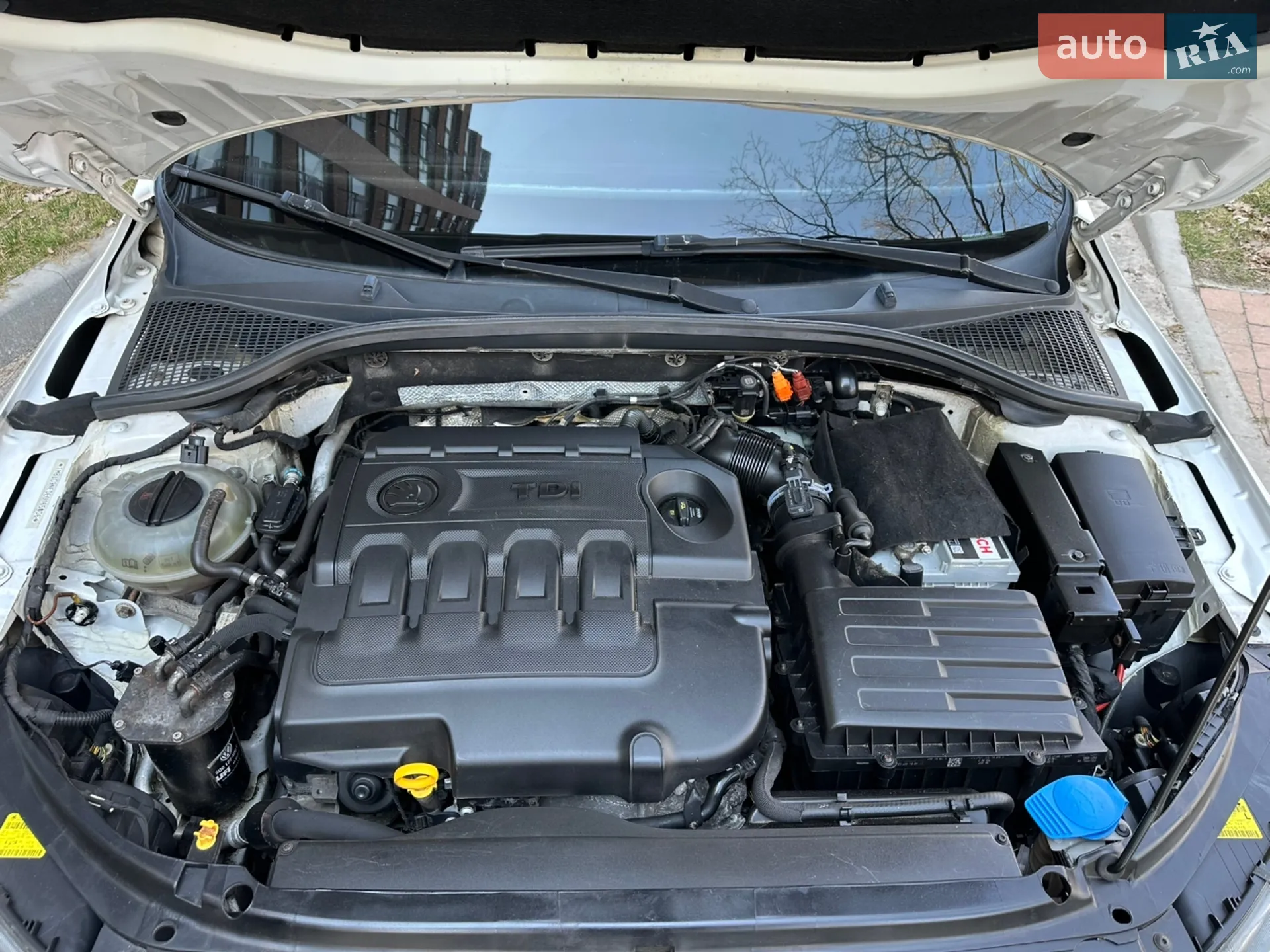 2014 Skoda Octavia - мініатюра 34