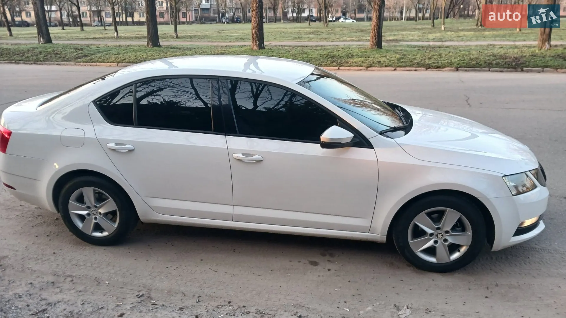 2019 Skoda Octavia - мініатюра 7
