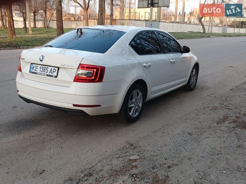 Лифтбек Skoda Octavia 2019 в Кривом Роге