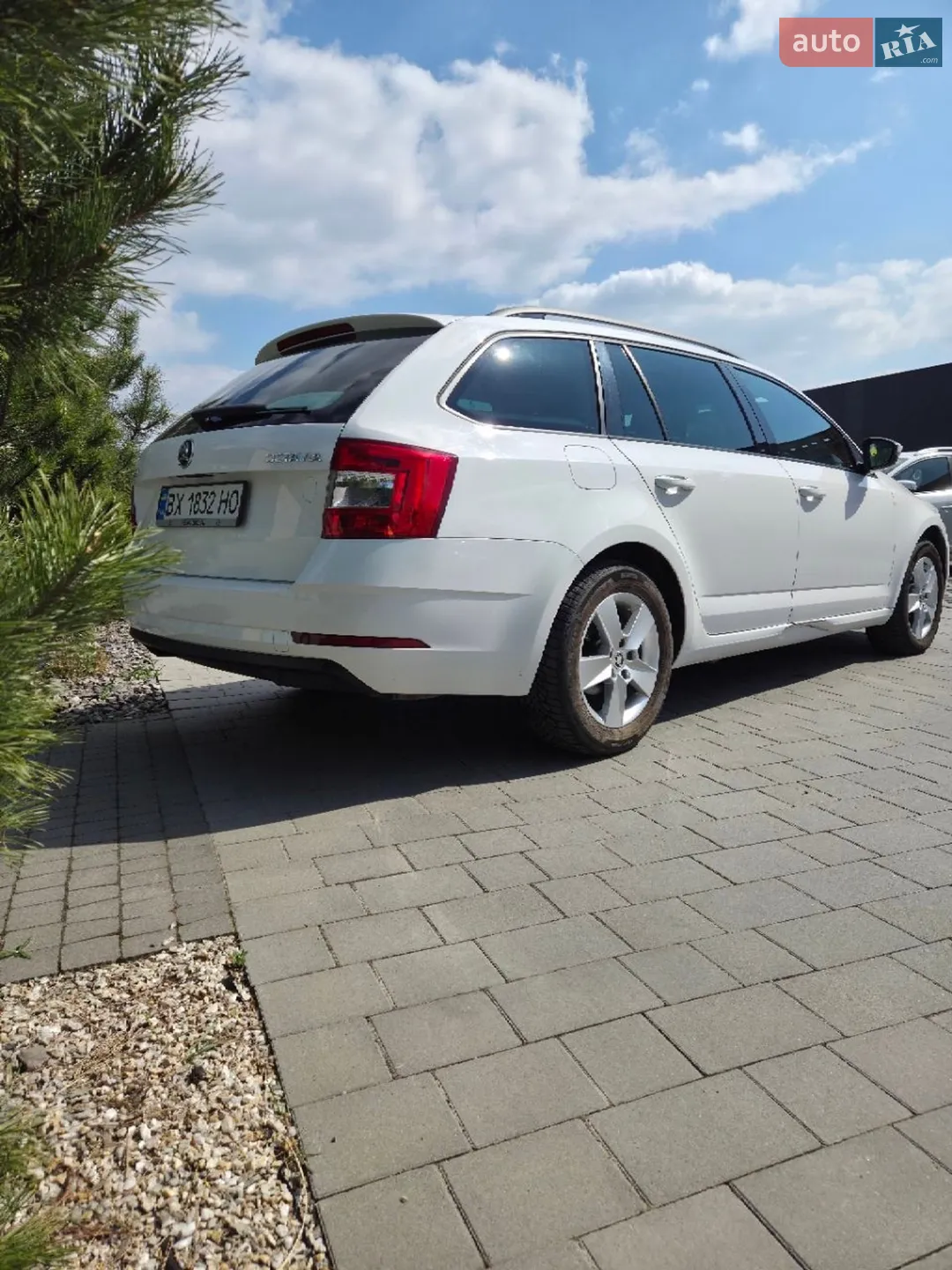 2019 Skoda Octavia - мініатюра 4