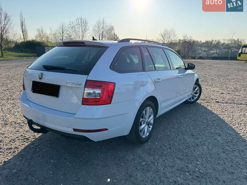Універсал Skoda Octavia 2019 в Ужгороді