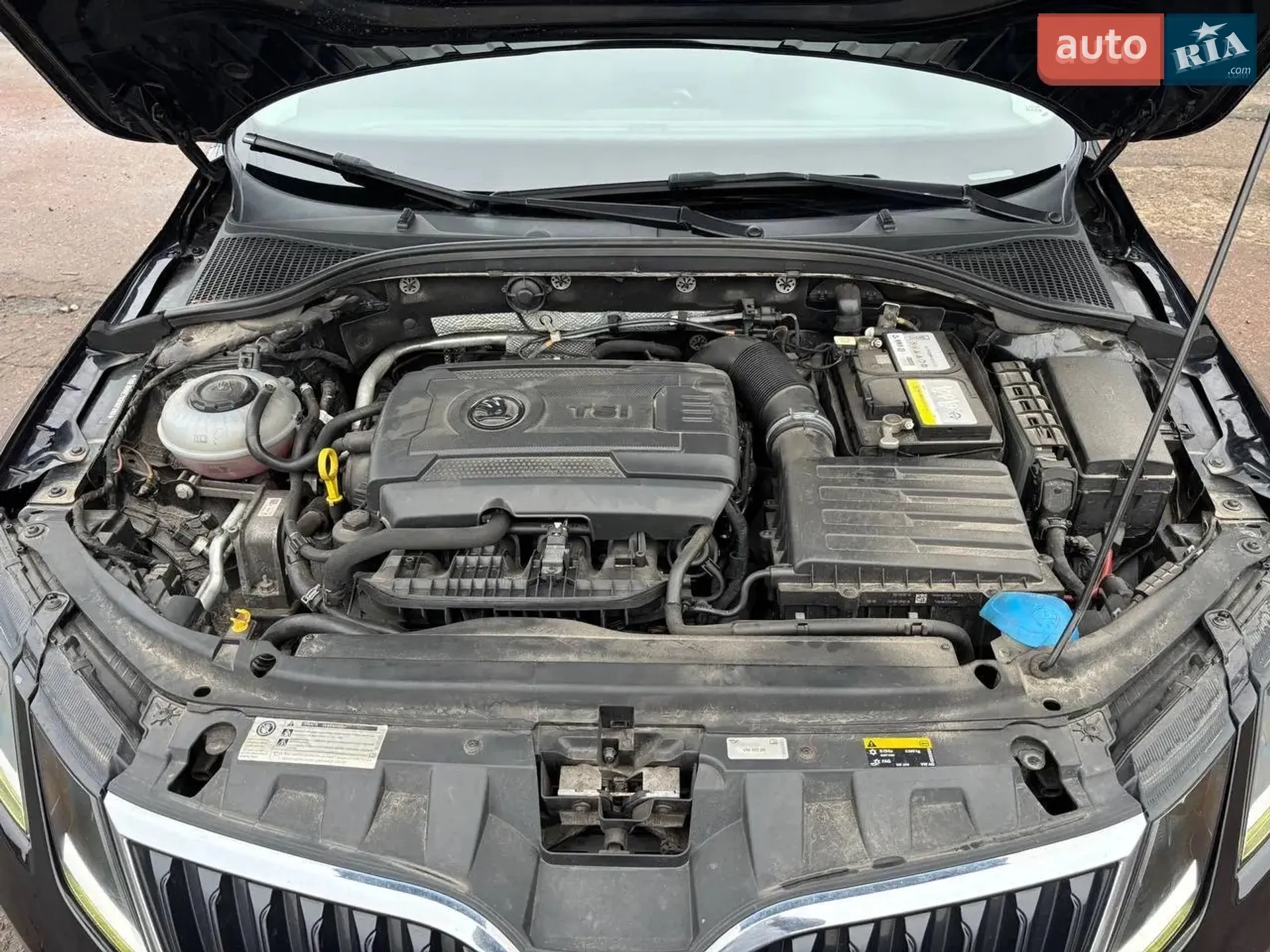 2019 Skoda Octavia - мініатюра 19