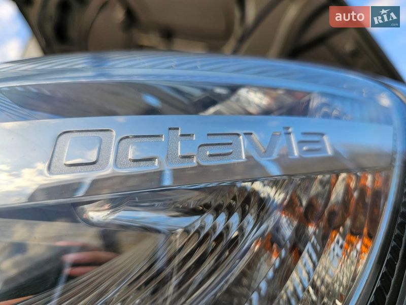 Ліфтбек Skoda Octavia 2009 в Ужгороді