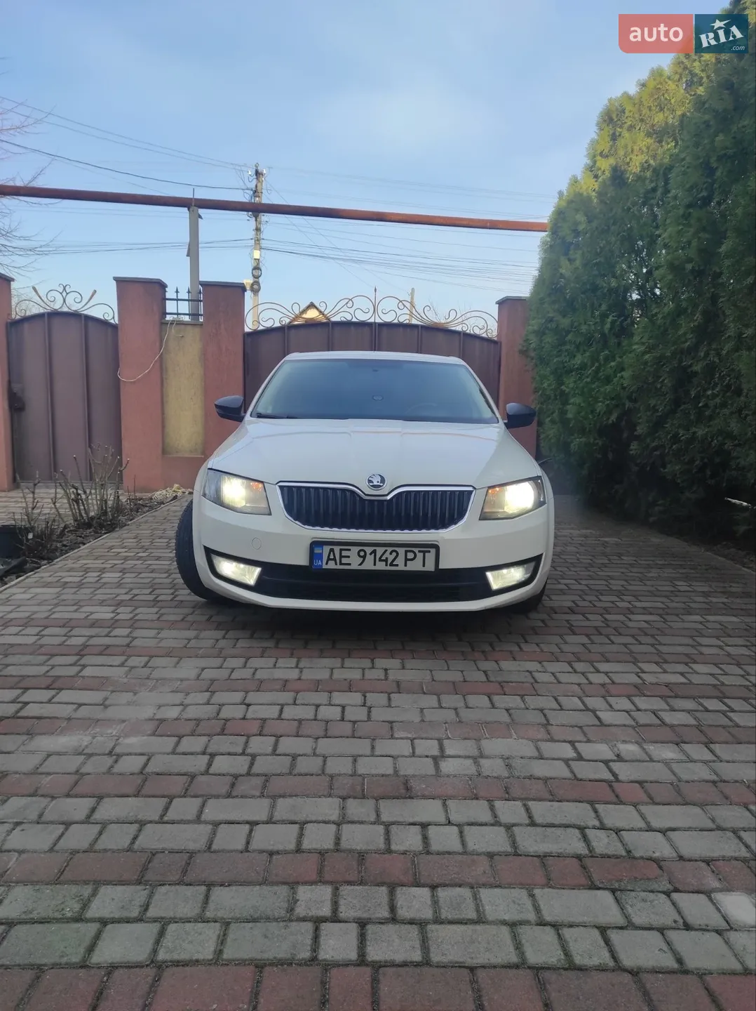 2013 Skoda Octavia - мініатюра 3