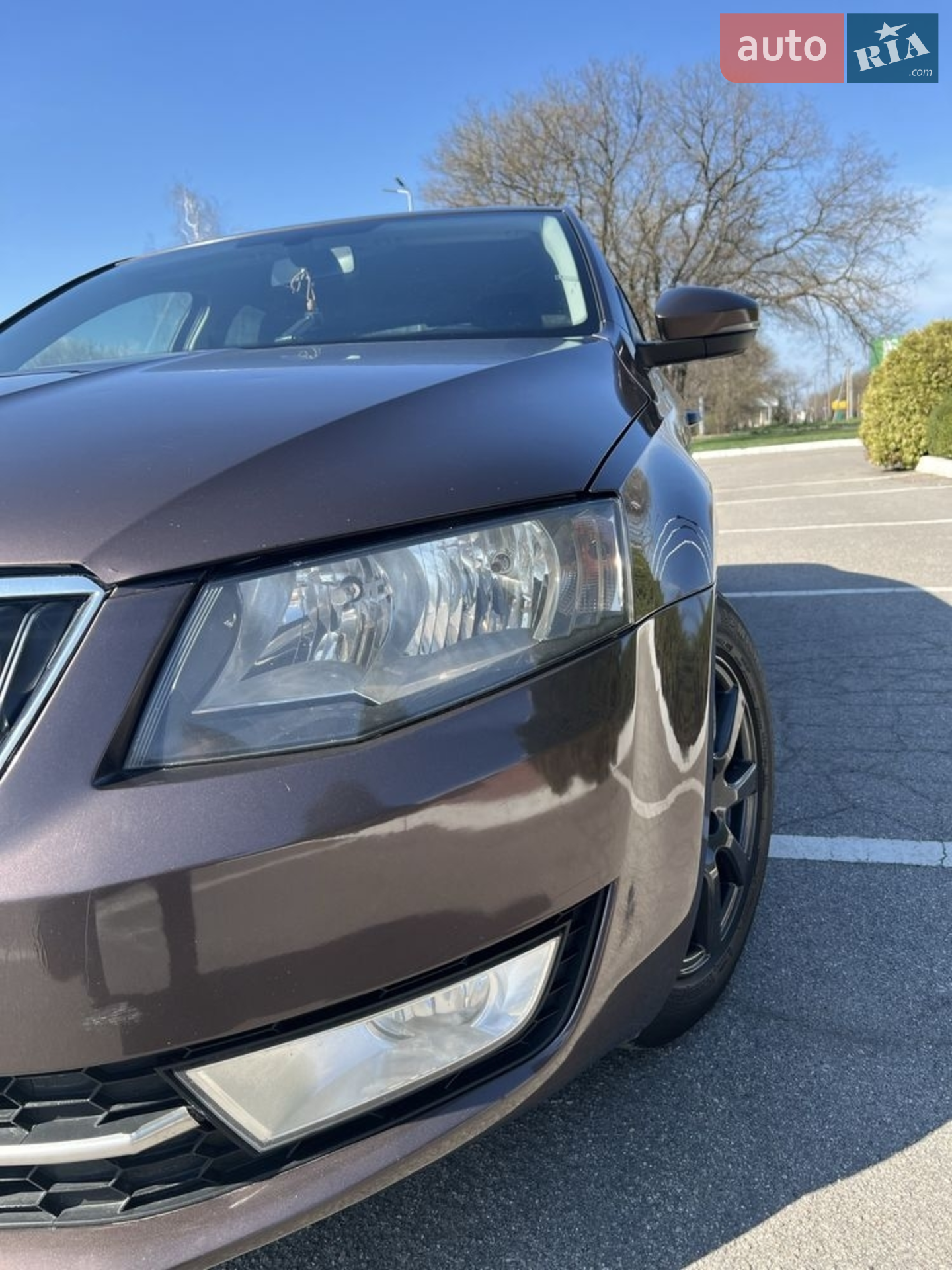 2014 Skoda Octavia - мініатюра 24