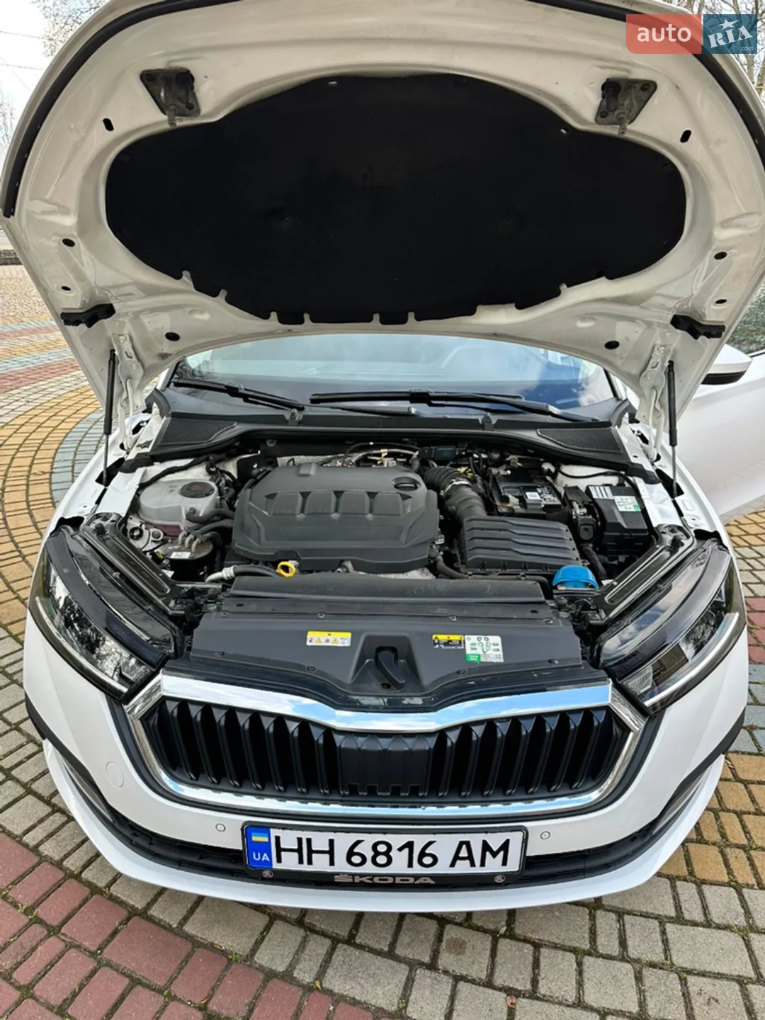 2020 Skoda Octavia - мініатюра 13