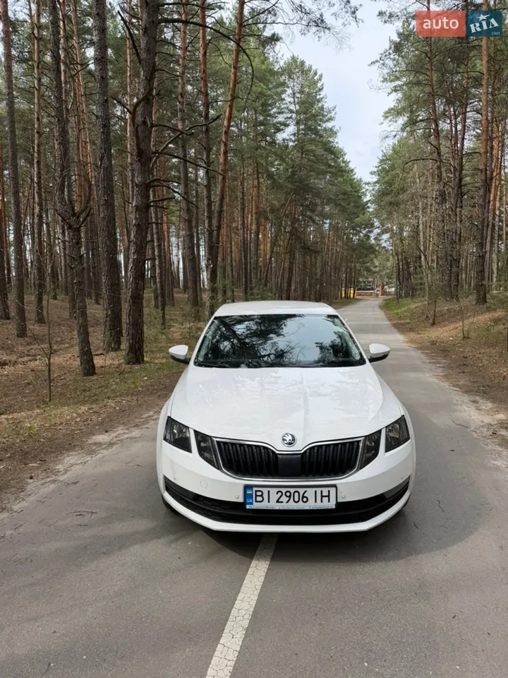 2018 Skoda Octavia - мініатюра 13