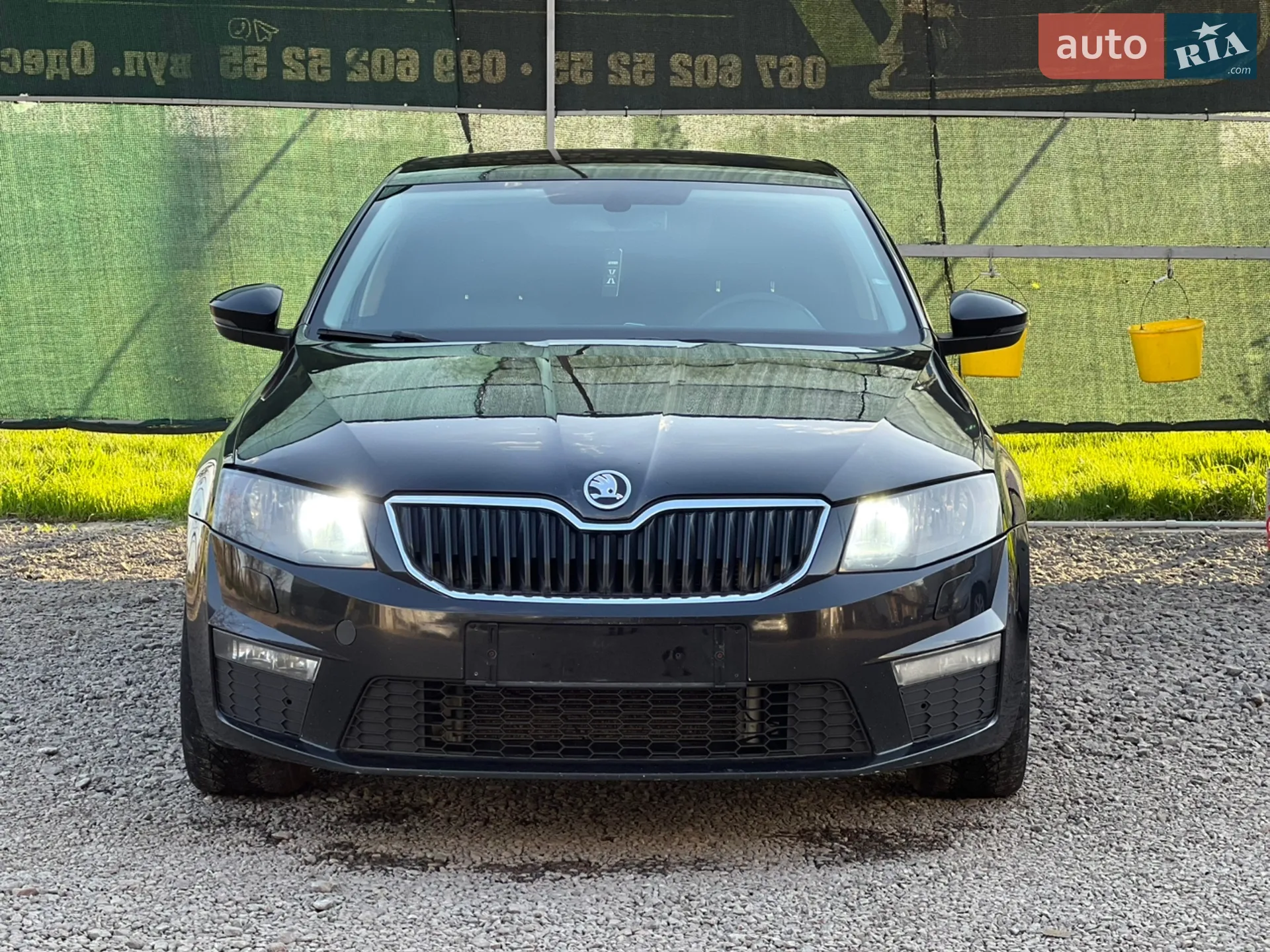 2015 Skoda Octavia - мініатюра 2