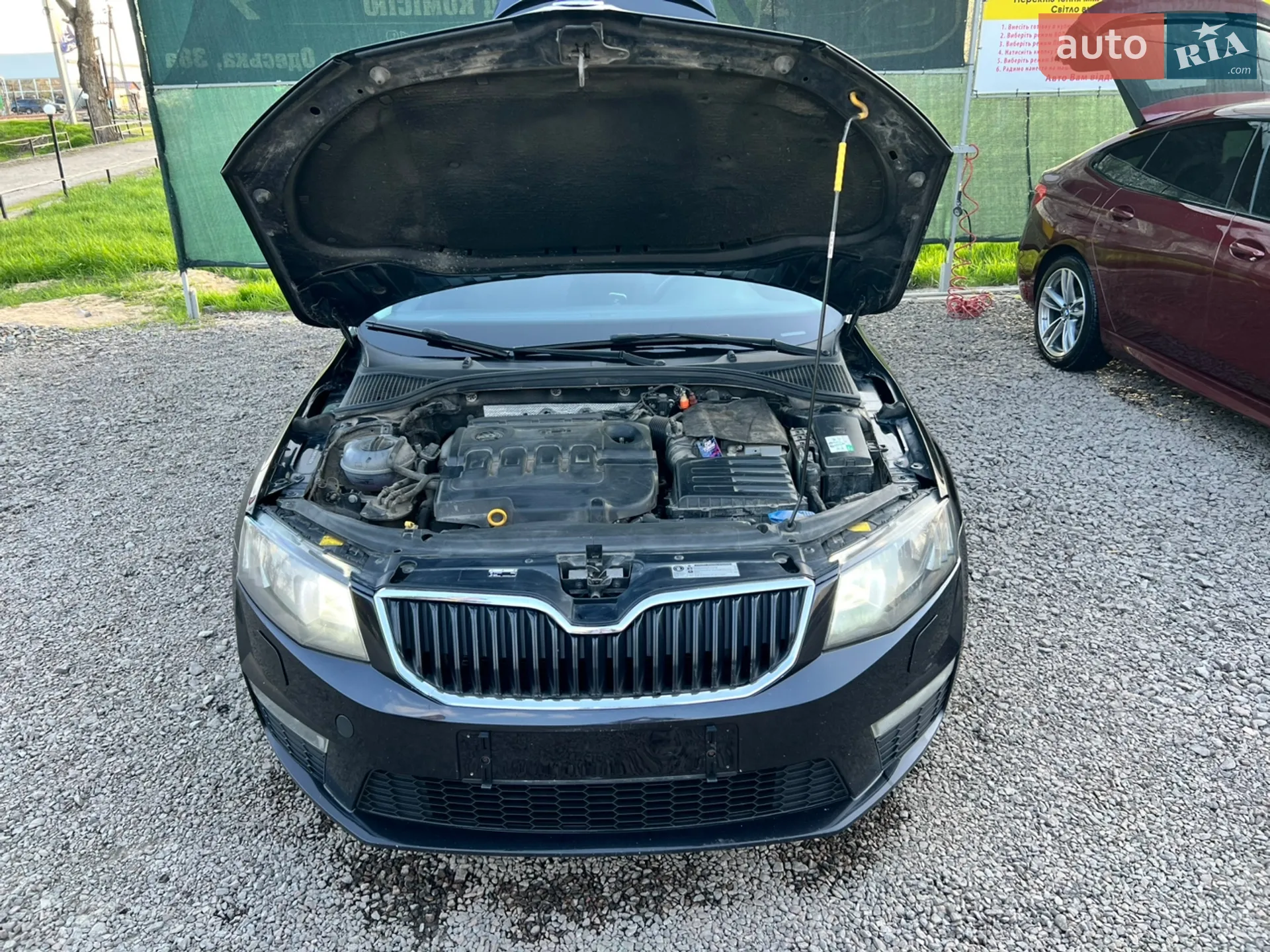 2015 Skoda Octavia - мініатюра 50