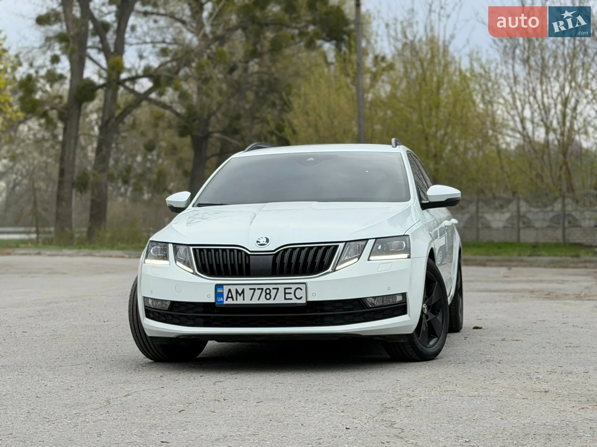 2017 Skoda Octavia - мініатюра 7