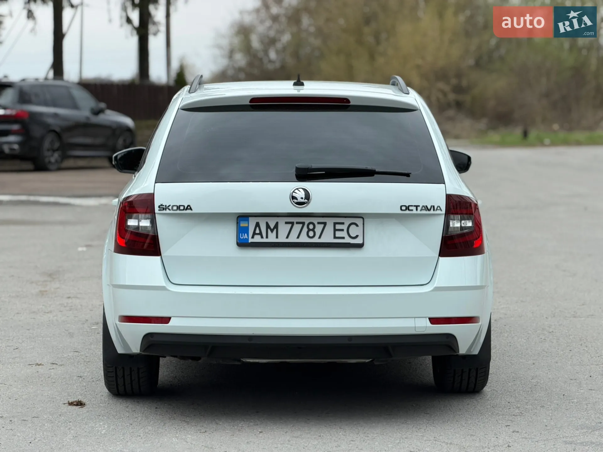 2017 Skoda Octavia - мініатюра 14