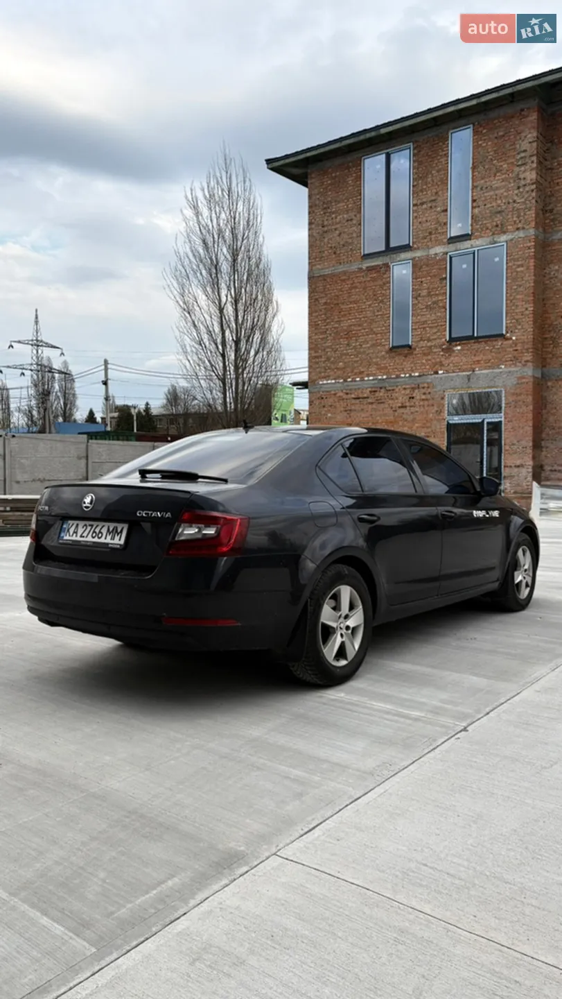 2018 Skoda Octavia - мініатюра 6
