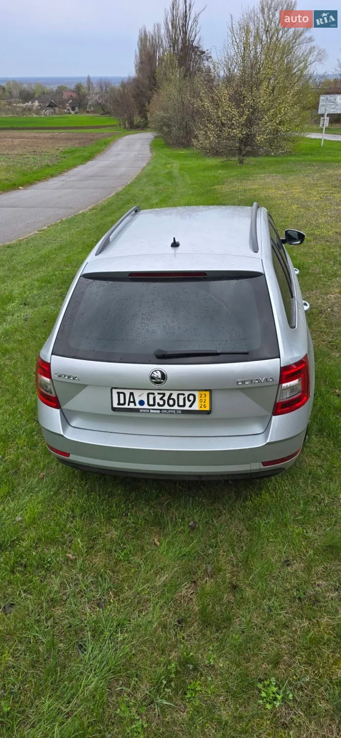 2020 Skoda Octavia - мініатюра 8