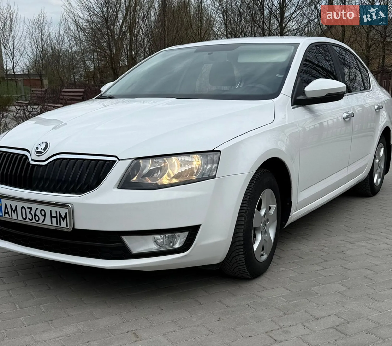 2013 Skoda Octavia - мініатюра 2