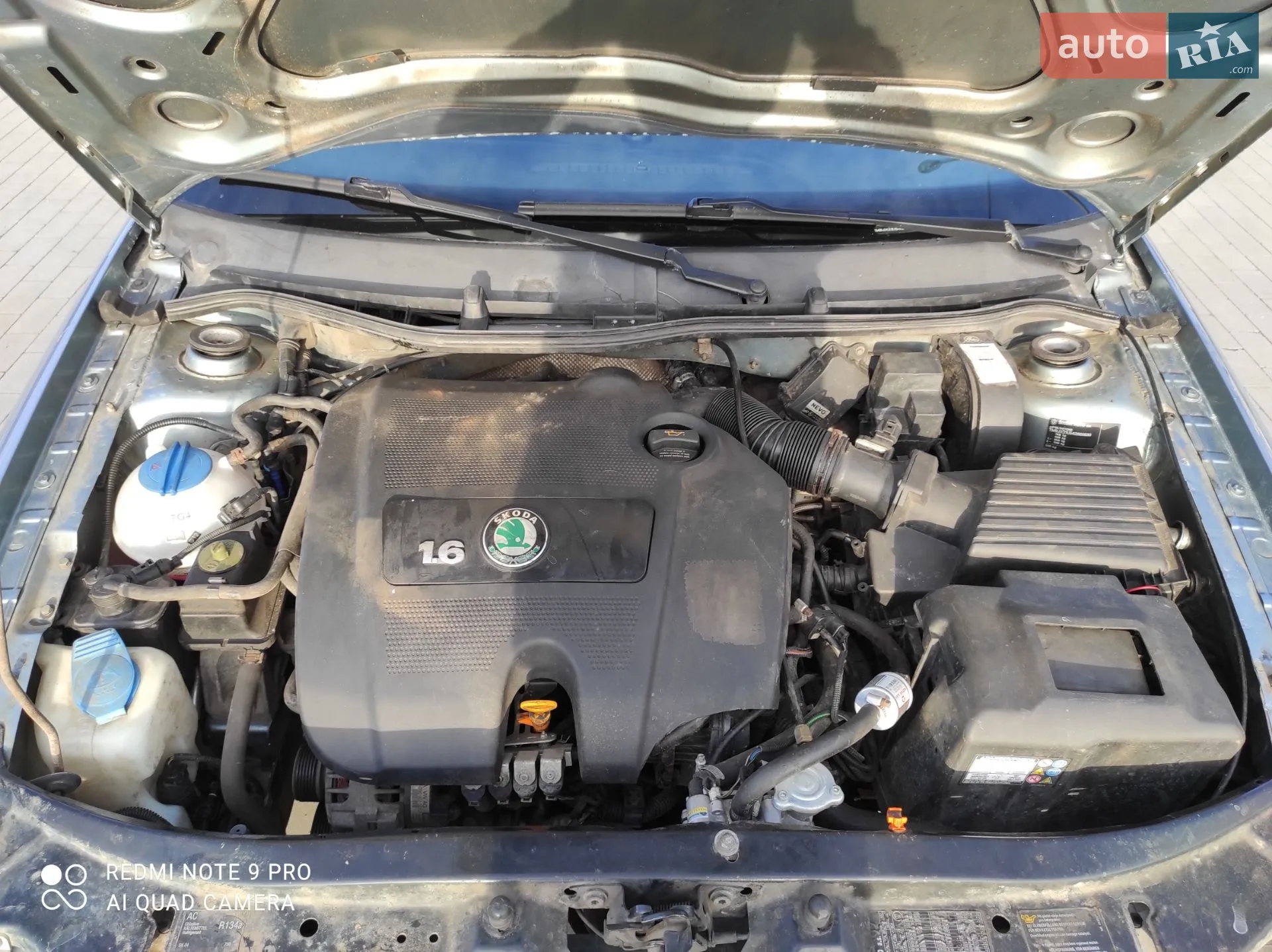 Skoda Octavia 2004 VIN TMBJX21U542869930 фото оголошення 12 з 12
