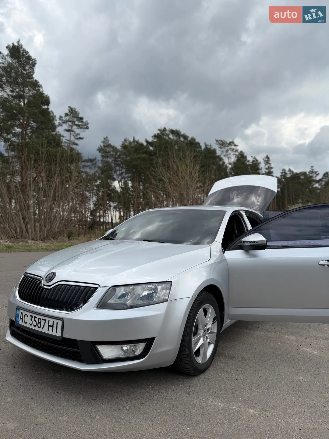 2017 Skoda Octavia - мініатюра 4