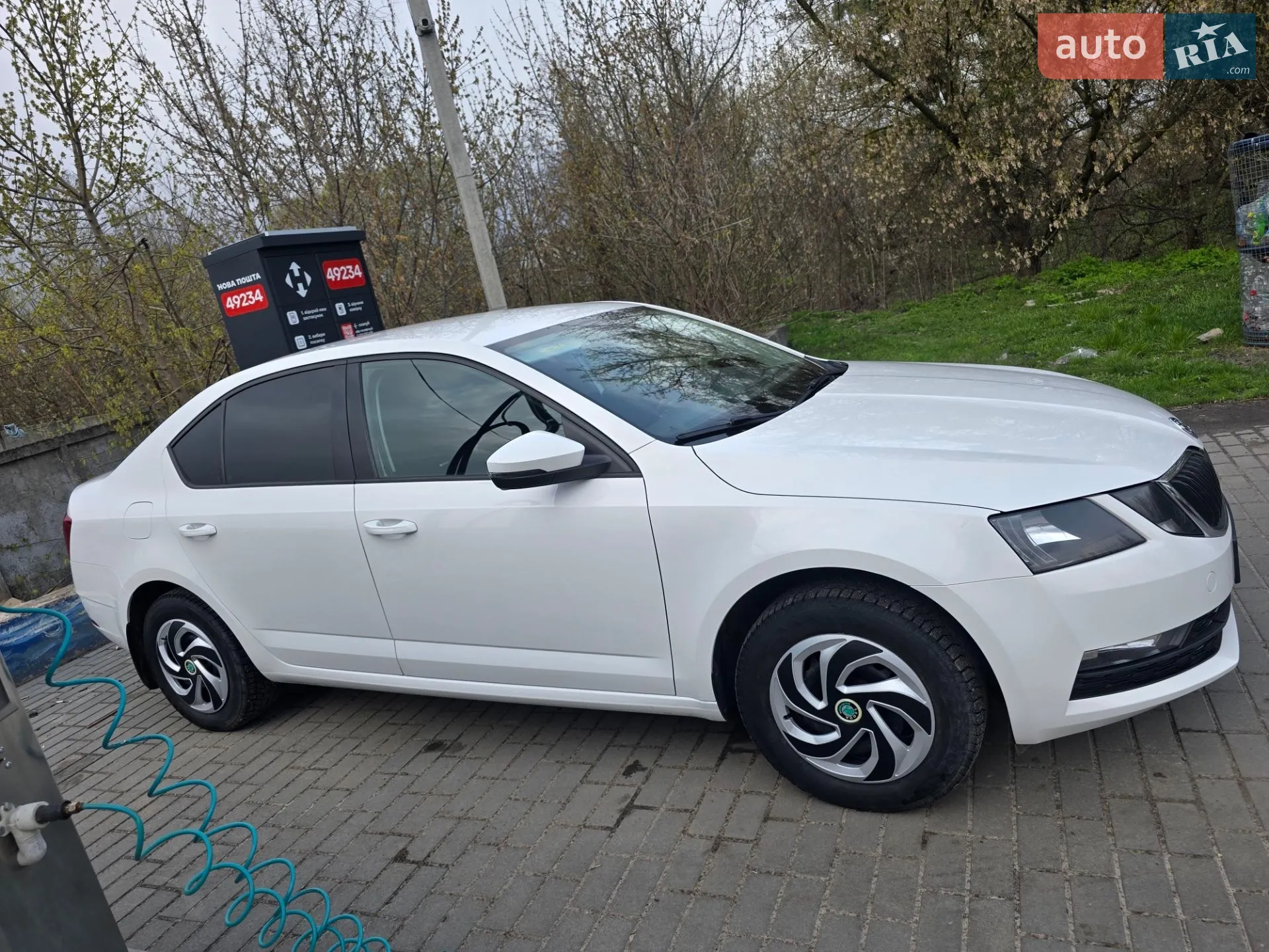 2018 Skoda Octavia - мініатюра 3