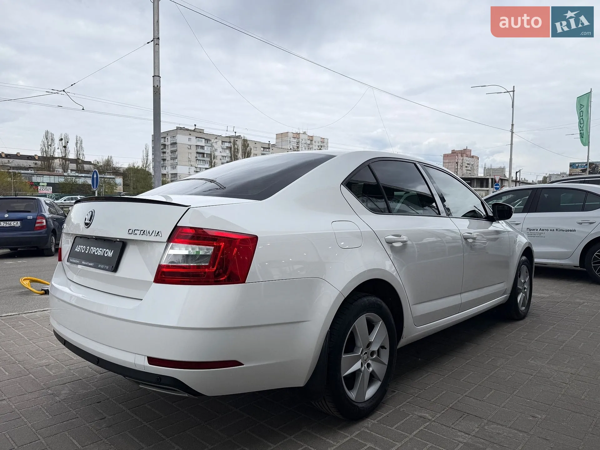 2019 Skoda Octavia - мініатюра 7