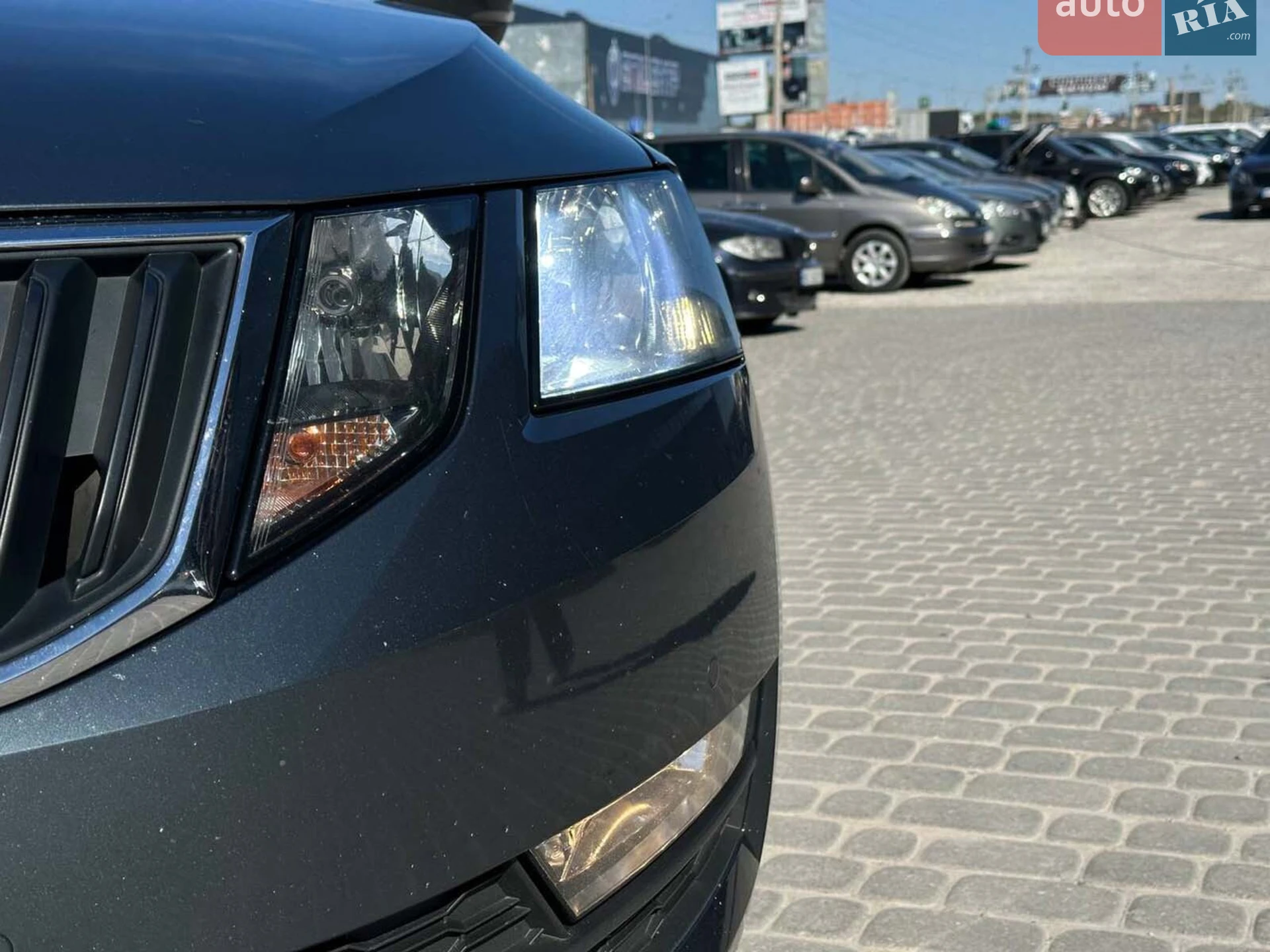 2019 Skoda Octavia - мініатюра 13