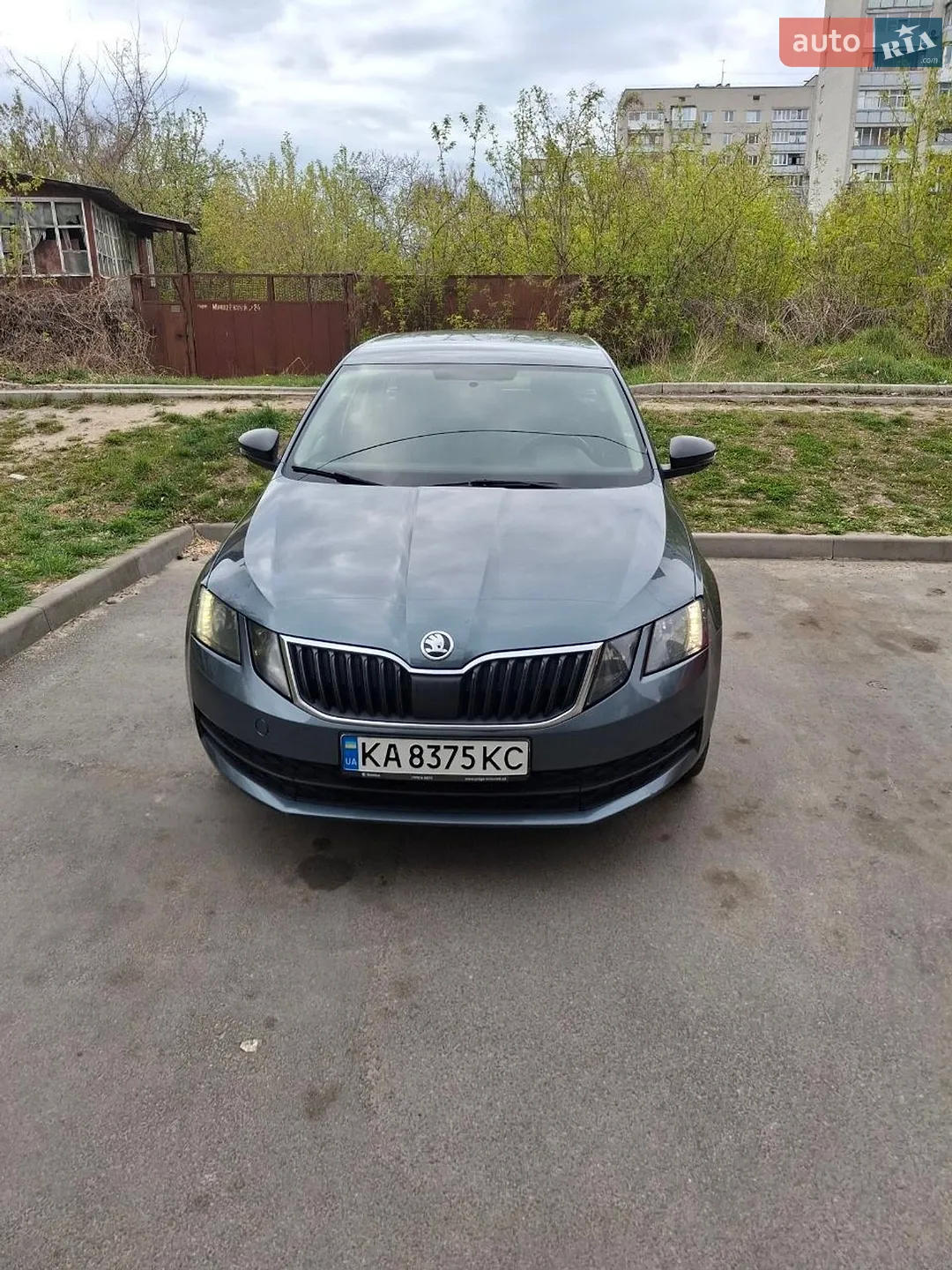 2017 Skoda Octavia - мініатюра 2