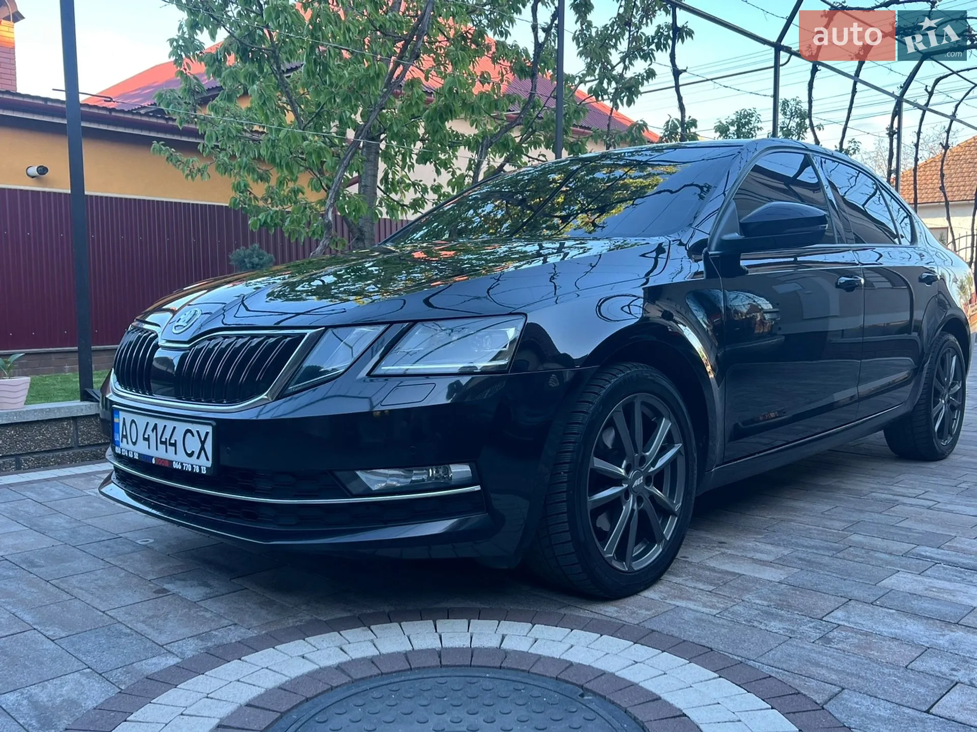 2019 Skoda Octavia - мініатюра 5