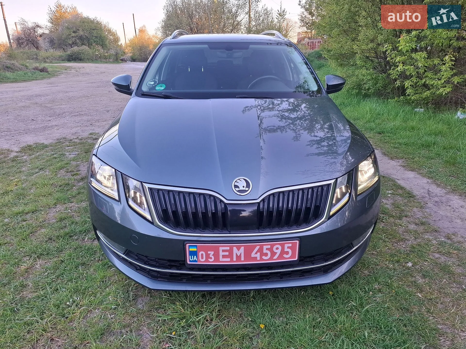 2019 Skoda Octavia - мініатюра 3