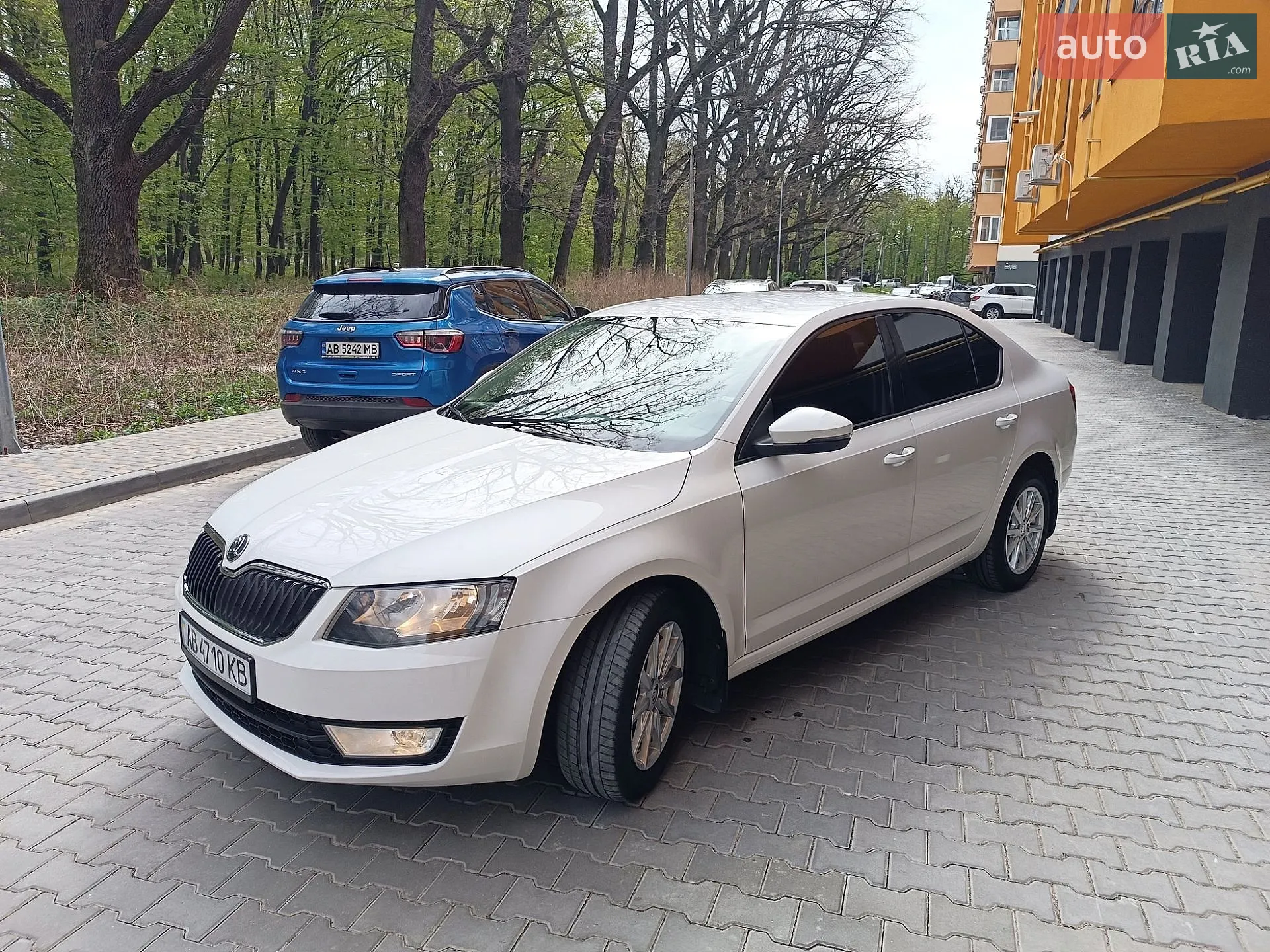 2013 Skoda Octavia - мініатюра 2