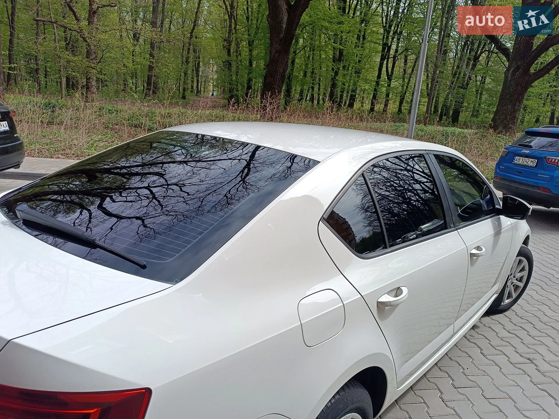 2013 Skoda Octavia - мініатюра 13