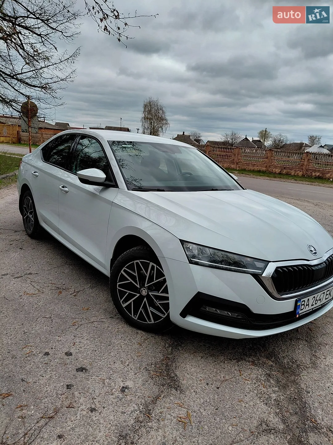 2020 Skoda Octavia - мініатюра 17