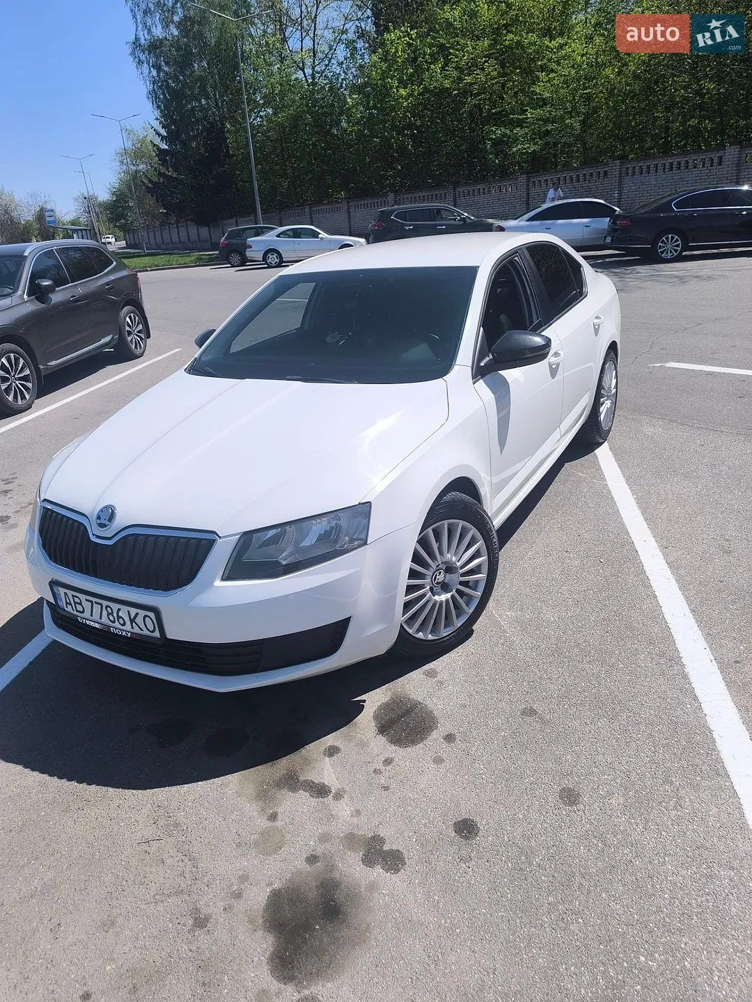 2014 Skoda Octavia - мініатюра 22