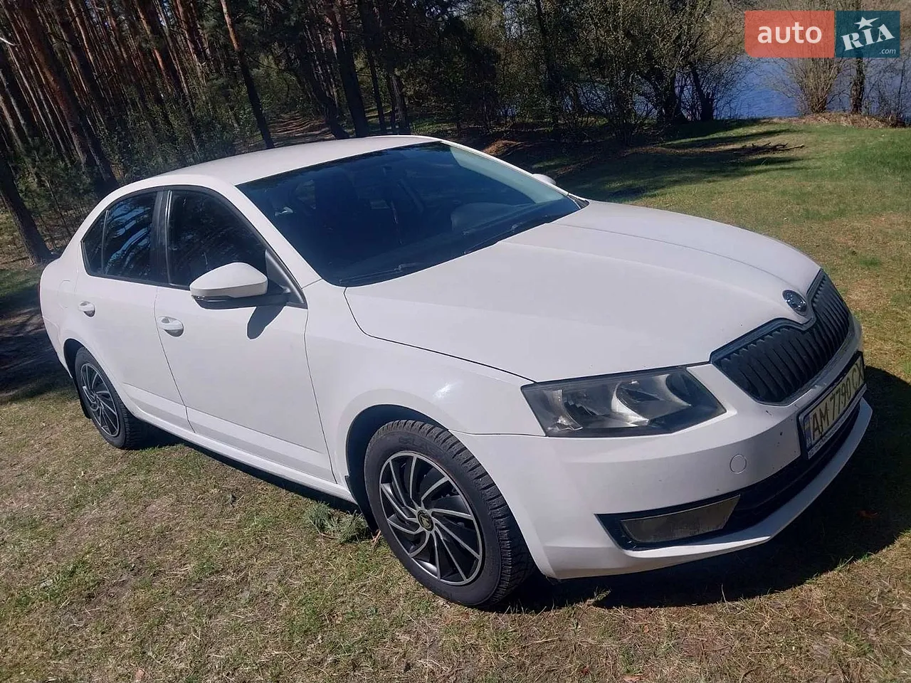 2015 Skoda Octavia - мініатюра 23