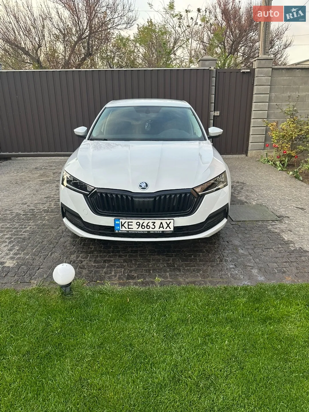 2021 Skoda Octavia - фото 1